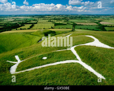 Kopf & Auge des Drachen-artigen Uffington White Horse Kreidefigur geschnitzt auf dem Hügel über dem abgeflachten Hügel von Dragon Hill. Stockfoto