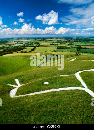 Kopf & Auge des Drachen-artigen Uffington White Horse Kreidefigur geschnitzt auf dem Hügel über dem abgeflachten Hügel von Dragon Hill. Stockfoto