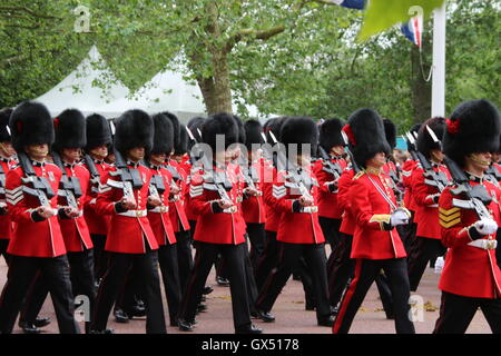 Trooping die Farbe 2016 Stockfoto