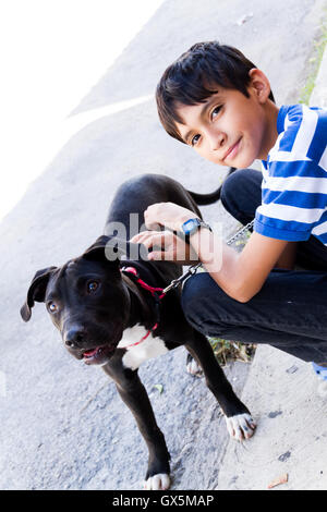 Kleiner Junge mit blauen abgespeckte Shirt streicheln seinen Hund auf dem Bürgersteig und Blick in die Kamera Stockfoto