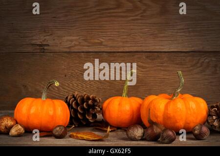 Herbst Mini Kürbisse mit Blättern und Nüssen auf einem urigen alten Holz Hintergrund Stockfoto
