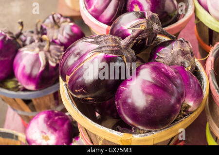 Große Runde lila Auberginen auf dem Markt Stockfoto