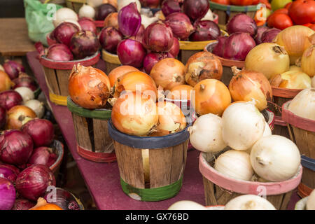 Verschiedene Arten von Zwiebeln in Körben auf dem Markt Stockfoto