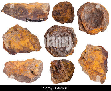 Sammlung von Proben von Limoniterz (Eisenerz, Moor-Eisenerz, braune Hämatit, braun Eisenerz, Zitrone Rock, gelbe Eisenerz) Stockfoto