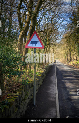 Rinder-Roadsign auf einen Feldweg Stockfoto