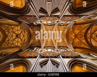 Decke des Kirchenschiffes der Kathedrale von Salisbury mit Orgel, Salisbury, England Stockfoto