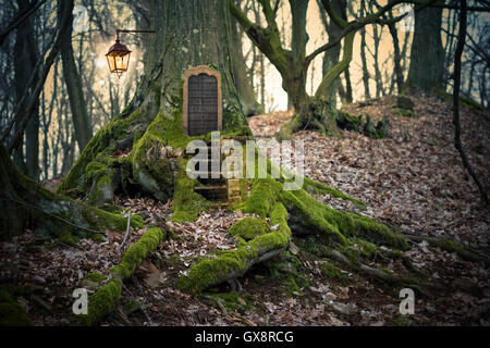 magische Feenwald Stockfoto