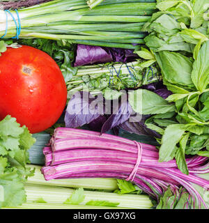 Essen-Hintergrund - Trauben von frisch geschnittenen Grünzeug und rote Tomate Stockfoto