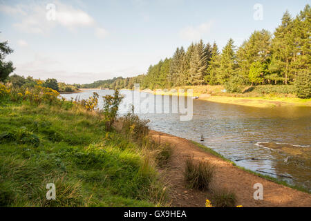 Einen malerischen Blick auf Cod Beck Stausee in der Nähe von Osmotherly, North Yorkshire, England Stockfoto