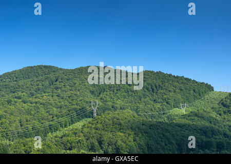 Hohen Hochspannungsleitungen über Wald Stockfoto