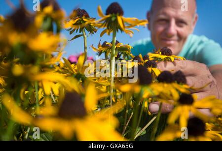 Vor der Harrogate Herbst Flower Show an der Great Yorkshire Showground sind die letzten Vorbereitungen getroffen. Stockfoto