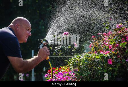 Vor der Harrogate Herbst Flower Show an der Great Yorkshire Showground sind die letzten Vorbereitungen getroffen. Stockfoto