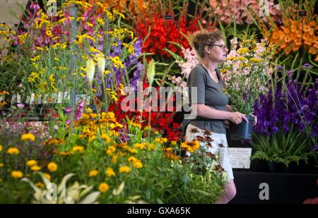 Vor der Harrogate Herbst Flower Show an der Great Yorkshire Showground sind die letzten Vorbereitungen getroffen. Stockfoto