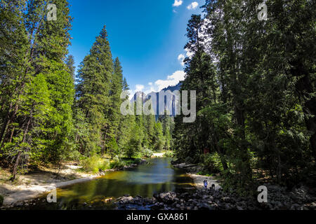 Merced River auf der Suche nach Osten in Richtung Yosemite Valley Stockfoto