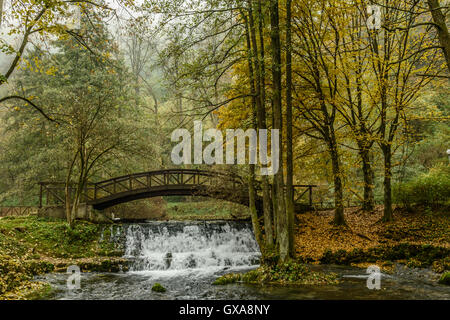 Herbst Farben Stockfoto