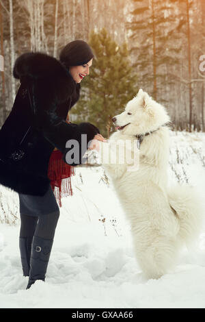 Samojede husky mit Besitzer Stockfoto