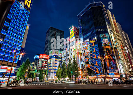 Japan, Honshu-Insel, Kanto, Tokyo, Akihabara Bezirk in der Nacht. Stockfoto