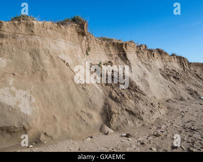 Zerstörung der Küste Sanddüne unter dem Einfluss der Stürme. Stockfoto