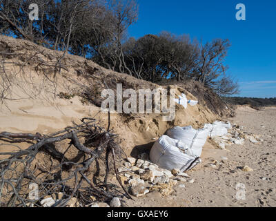 Schutz der Küstengebiete dune mit Sandsack. Ile d'Oléron, Atlantikküste. Frankreich. Stockfoto