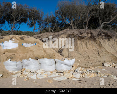 Schutz der Küstengebiete dune mit Sandsack. Ile d'Oléron, Atlantikküste. Frankreich. Stockfoto