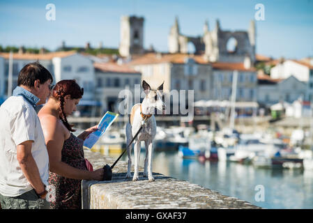 Der Hafen in St Martin de Ré, Île de Ré, Poitou Charente, Frankreich, EU, Europa Stockfoto