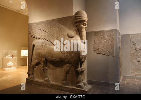 Unter der Leitung von menschlichen geflügelten Löwen (Lamassu). 883-859 V. CHR.. Neo-assyrischen. Herrschaft von Ashurnasirpal. Nimrud (alte Kalhu). Mesopotamien. Stockfoto