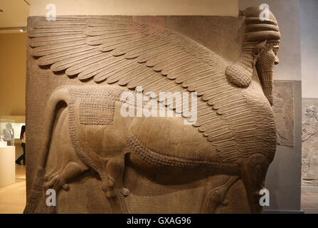 Unter der Leitung von menschlichen geflügelten Löwen (Lamassu). 883-859 V. CHR.. Neo-assyrischen. Herrschaft von Ashurnasirpal. Nimrud (alte Kalhu). Mesopotamien. Stockfoto