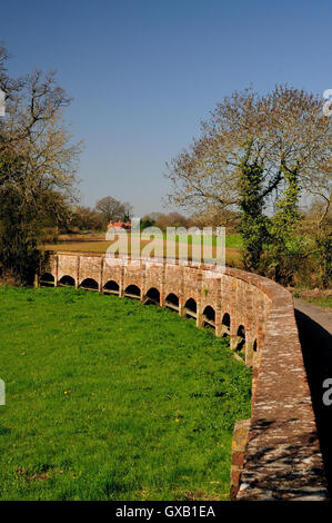 Teil von Maud Heide Damm am Kellaways, Wiltshire. Stockfoto