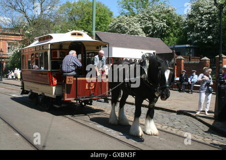 Die viktorianischen Pferdebahn 15 ehemals im Besitz von Sheffield Corporation Tramways Crich Tramway Village, Derbyshire. Stockfoto