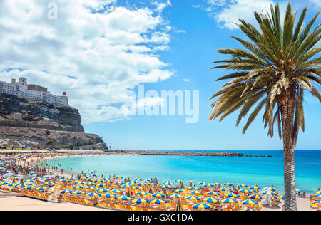 Amadores Strand. Gran Canaria, Kanarische Inseln, Spanien Stockfoto