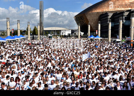 Speicher Fuß für der Alzheimers Gesellschaft, Cardiff Bay, South Wales, Australia Stockfoto