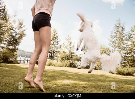 Frau springt mit Coton de Tulear Hund im Garten, Orivesi, Finnland Stockfoto