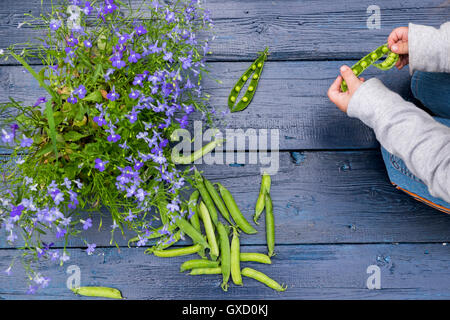 Kleiner Junge Beschuss Zuckerschoten, close-up Stockfoto