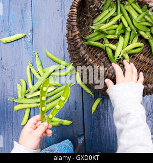 Kleiner Junge Beschuss Zuckerschoten, close-up Stockfoto