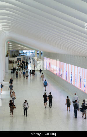 Westfield World Trade Center, Lower Manhattan, NYC, USA Stockfoto