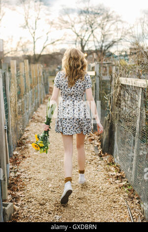 Junge Frau zu Fuß im Freien, halten Sonnenblumen, Rückansicht Stockfoto