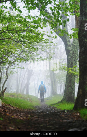 Rückansicht des Menschen wandern im Shenandoah-Nationalpark, Virginia, USA Stockfoto