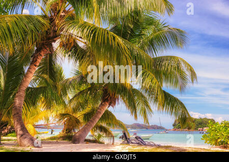 Beach auf der tropischen Insel. Stockfoto