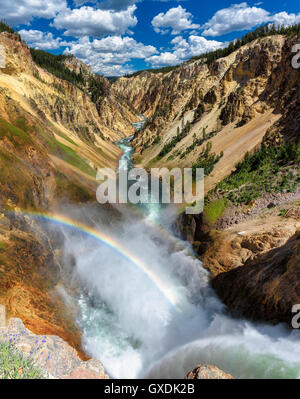 Lower Falls über den Grand Canyon im Yellowstone National Park Stockfoto