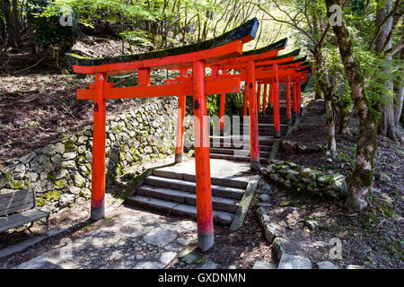 Japan, Izushi schloss. Reihe von vermilion Torii Tore entlang Stein Stufen zwischen dem Schloss Ishigaki Steinmauern auf die (unsichtbare) Inari Schrein. Stockfoto