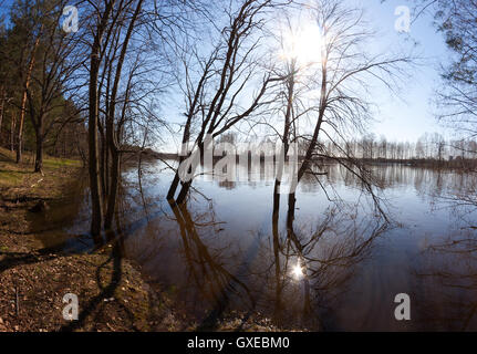 Landschaft mit blauem Himmel, Sonne, Bäume stehen in überfluteten Fluss durch einen Zweig-Zeit in der Nähe von Vladimir (Russland). Mit Fischaugen-Objektiv geschossen. Stockfoto