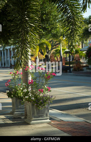 Am frühen Morgen Old Naples Florida street mit Blumen und Palmen. Stockfoto