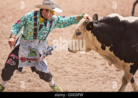 Stierkämpfer staubigen Tuckness konfrontiert einen wütenden Stier nach warf Reiter Zeb Lanham bei den Cheyenne Frontier Days Rodeo in Frontier Park Arena 25. Juli 2015 in Cheyenne, Wyoming. Frontier Days feiert die Cowboy Traditionen des Westens mit einem Rodeo, Parade und Fair. Stockfoto