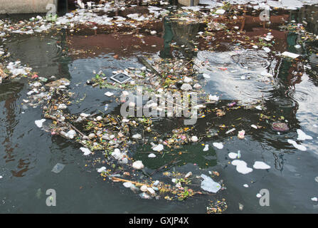 Müll auf dem Chao Phraya River in Bangkok, Thailand Stockfoto