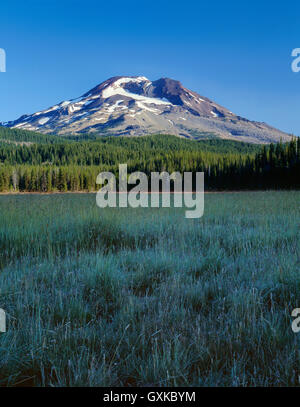 USA, Oregon, Deschutes National Forest, South Sister erhebt sich über Frost-umrandeten Gräser. Stockfoto