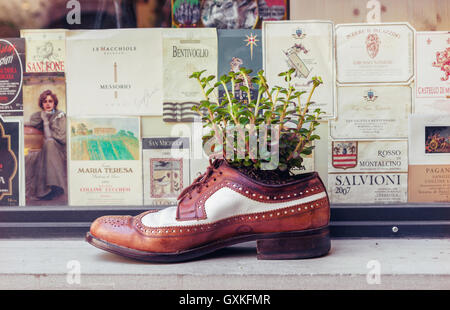 Alte Leder-Schuh als dekorativer Blumentopf in einen Hintergrund Vintage Weinetiketten in Florenz, Italien Stockfoto