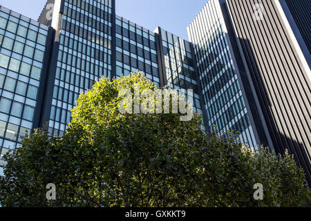 London, 11. September 2016. Der City of London, in der m-Meile gibt es sehr wenig Natur. Stockfoto