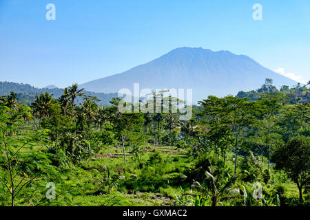 Üppige balinesische Landschaft mit Reisterrassen und dem Berg Agung im Hintergrund. Eine ruhige Aussicht. Stockfoto