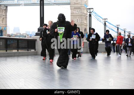 Der Great Gorilla Run ist jetzt im 14. Jahr, ein Charity-Spaß führen, die weit über £ 2 Millionen für Gorilla-Erhaltung und Armut Reduzierungsprojekte in Zentralafrika erhöht hat.   Hunderte von Menschen verkleidet als Gorillas laufen, Joggen oder gehen Sie 8km aber der City of London, Geldbeschaffung zur Rettung einer Spezies auf den Rand des Aussterbens. Stockfoto