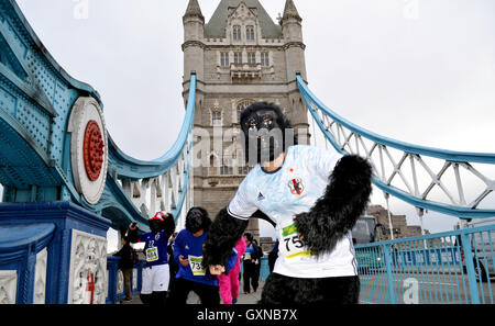 London, Großbritannien. 17. September 2016. Aktivisten wie Gorillas laufen über die Tower Bridge während der "Great Gorilla Run" in London, Großbritannien, 17. September 2016 gekleidet. Die Aktion soll auf die Situation der vom Aussterben bedrohten Berggorillas aufmerksam zu machen. Foto: CHRISTOPH MEYER/Dpa/Alamy Live News Stockfoto